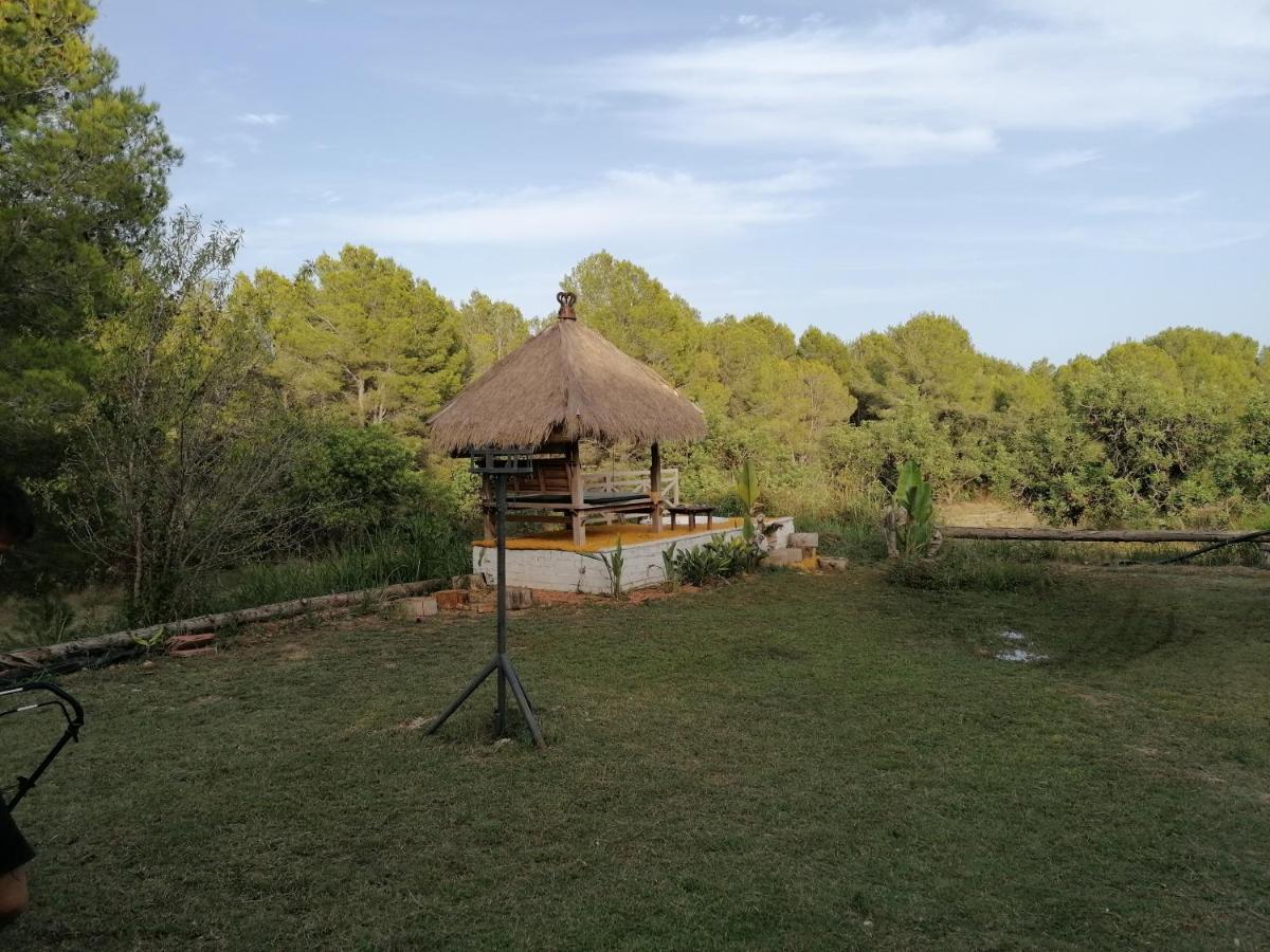 Chilliman & Mas Miro Biofarm ξενώνας Catllar Εξωτερικό φωτογραφία