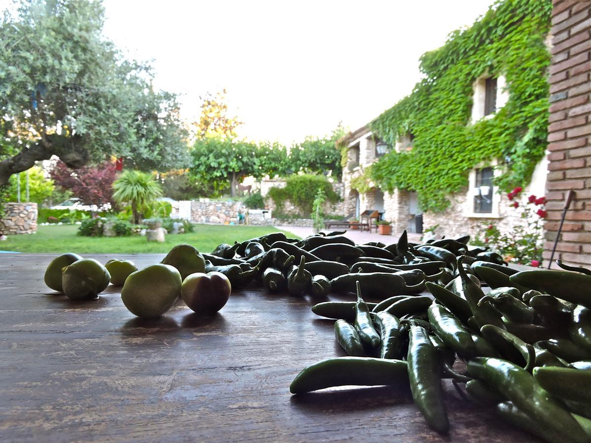 Chilliman & Mas Miro Biofarm ξενώνας Catllar Δωμάτιο φωτογραφία